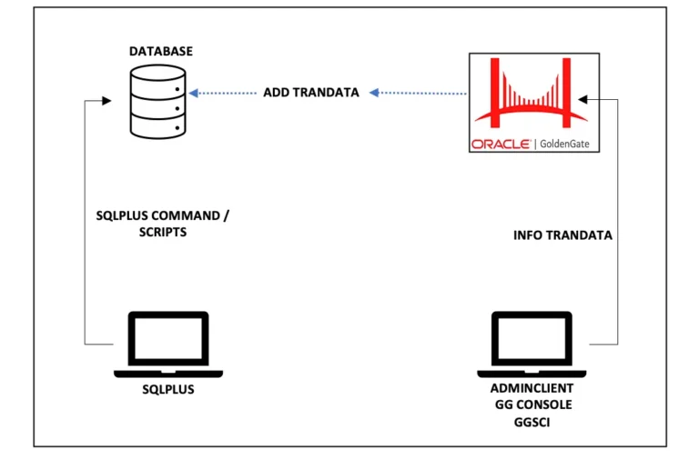 Info trandata from sqlplus oraclegg